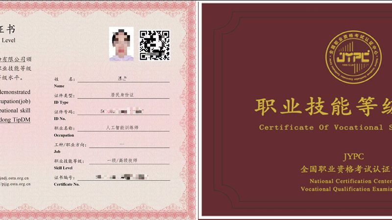 解码上海智能语音技术：排名背后的关键要素**