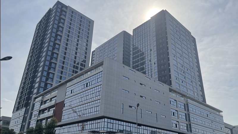 教育领域AI应用开发定制案例：探索个性化学习新路径**